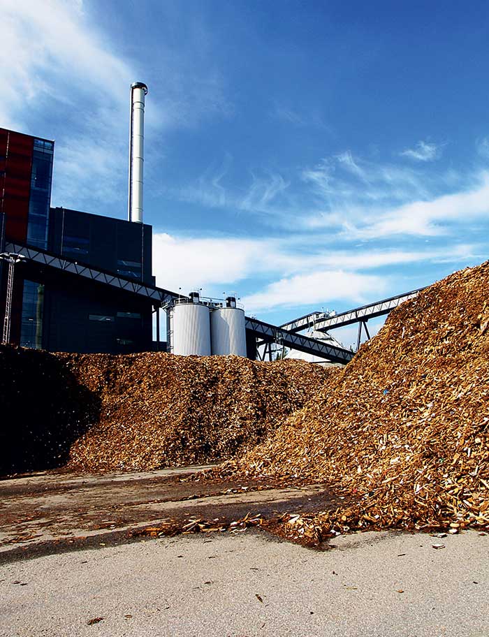 sedis-img-biomasse SEDIS énergie industrie biomasse